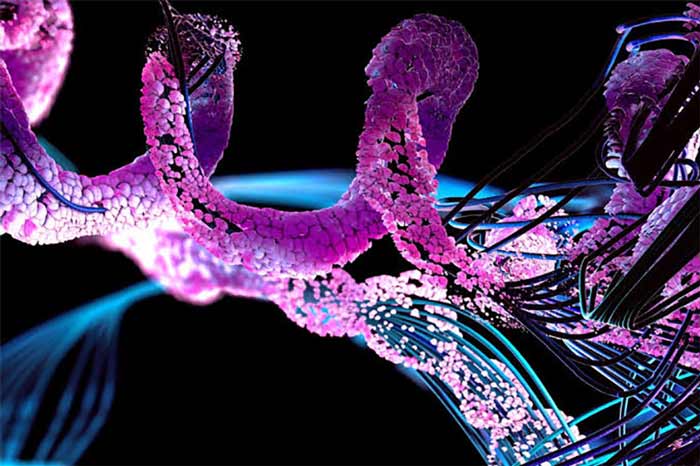 Protein Engineering