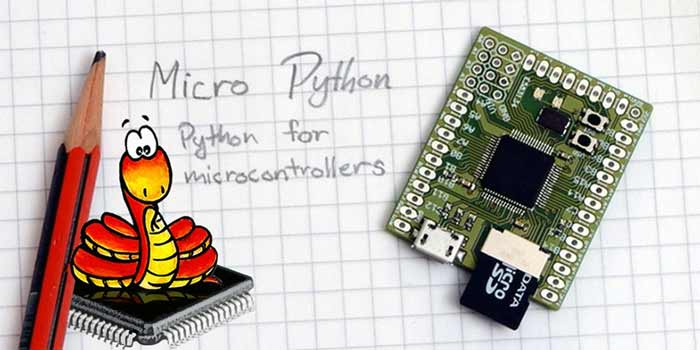 اینترنت MicroPython